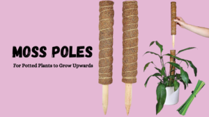 Moss Poles