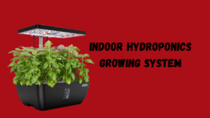 Indoor Hydroponics Growing System